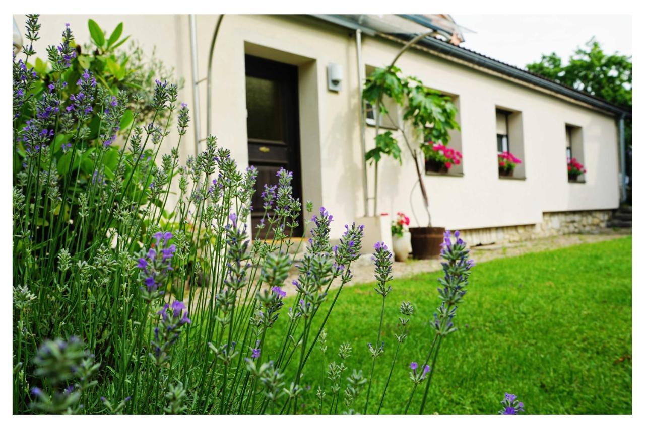 Ingrid'S Guesthouse Spittal Spittal an der Drau Ngoại thất bức ảnh